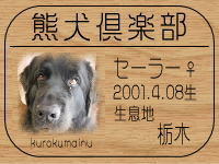 �I�[�i�[�́A�Z�[���[�}�}����ł���